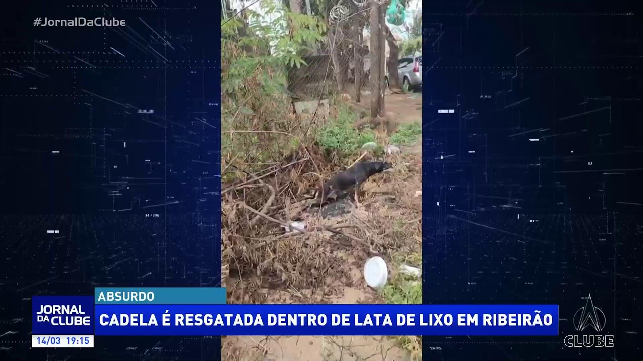 Jornal da Clube 2ª Edição (14/03/2026)