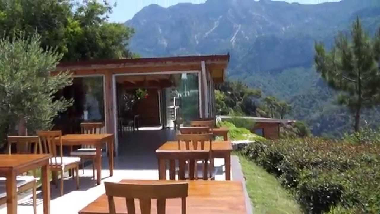 Кабак Авалон Бунгало, июнь 2015 г.