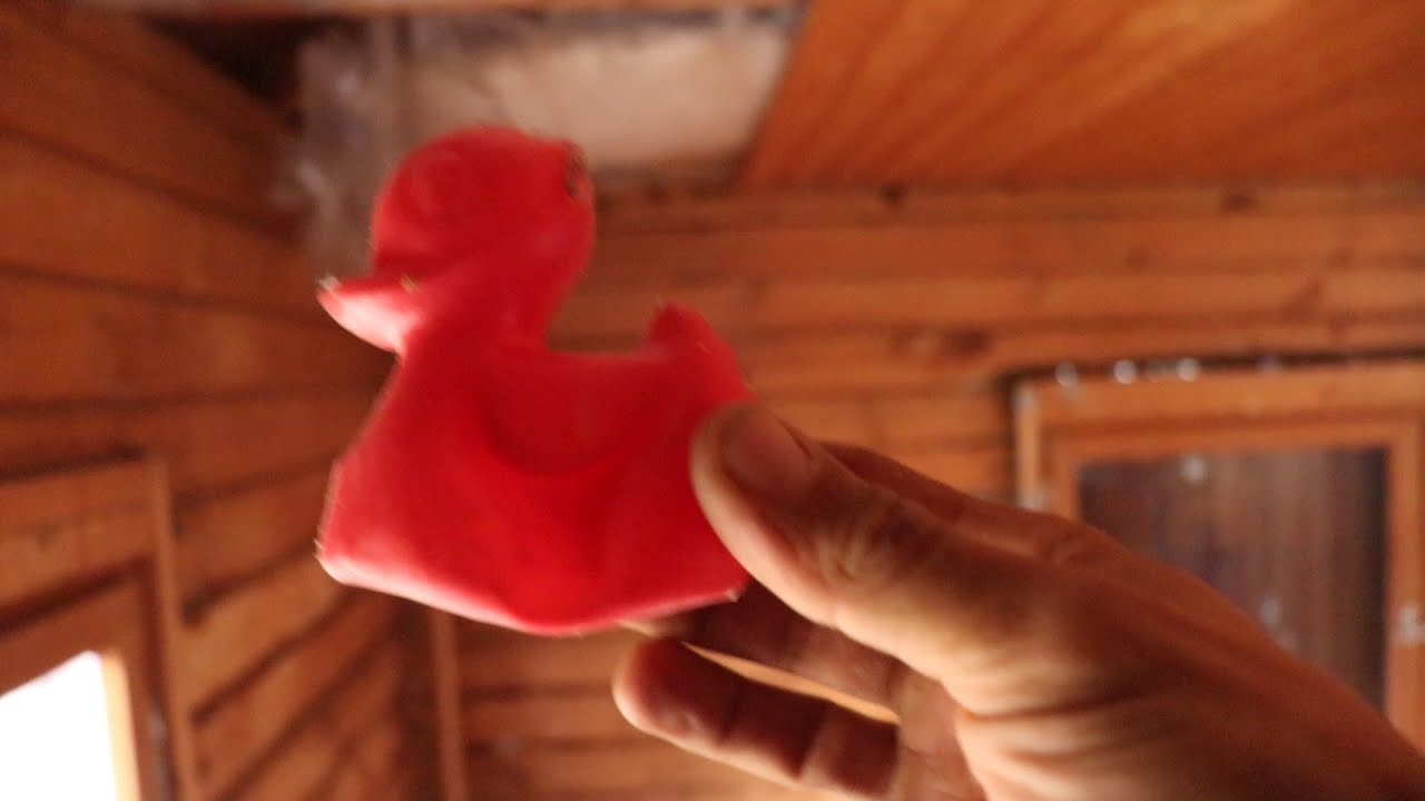 Vlog #72 // Was eine Ente mit einer Hütte zu tun hat