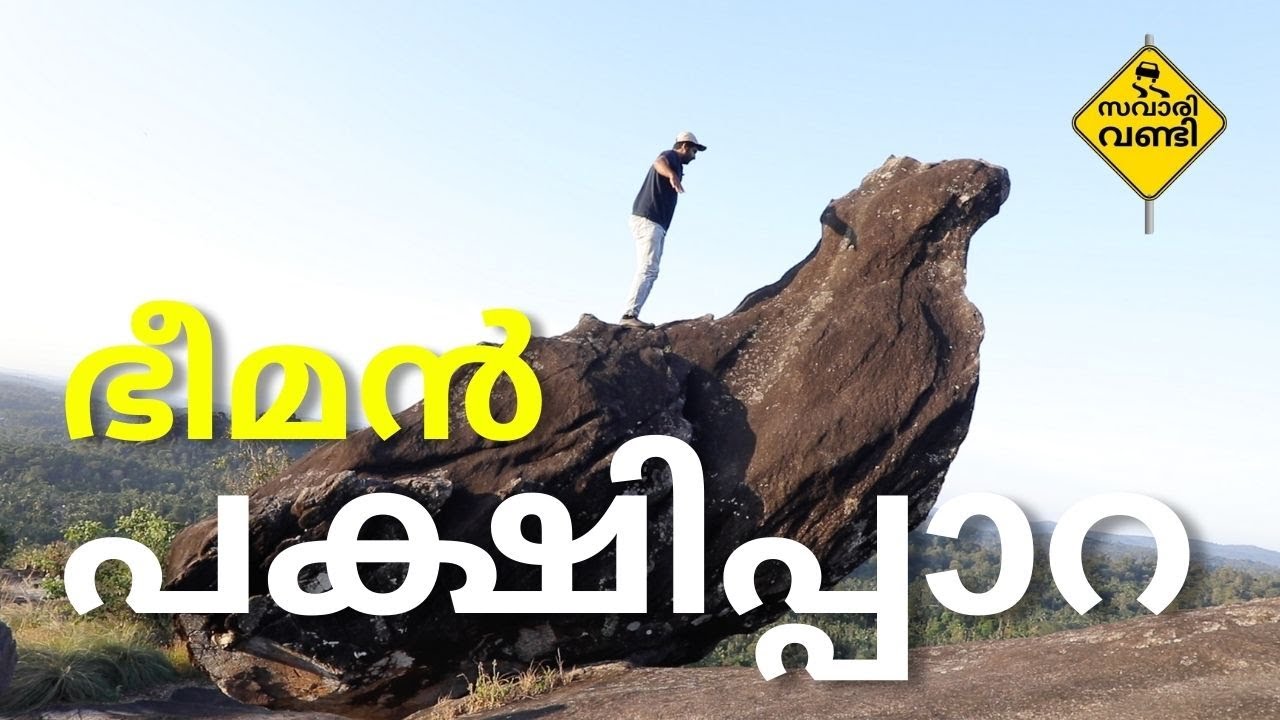 ആറാട്ടു പാറ ഭീമൻ പക്ഷിപ്പാറ | Arattu Para giant bird rock | Savari Vandi