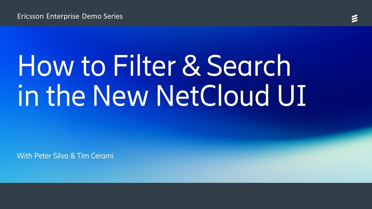 How to Filter and Search in the New NetCloud UI