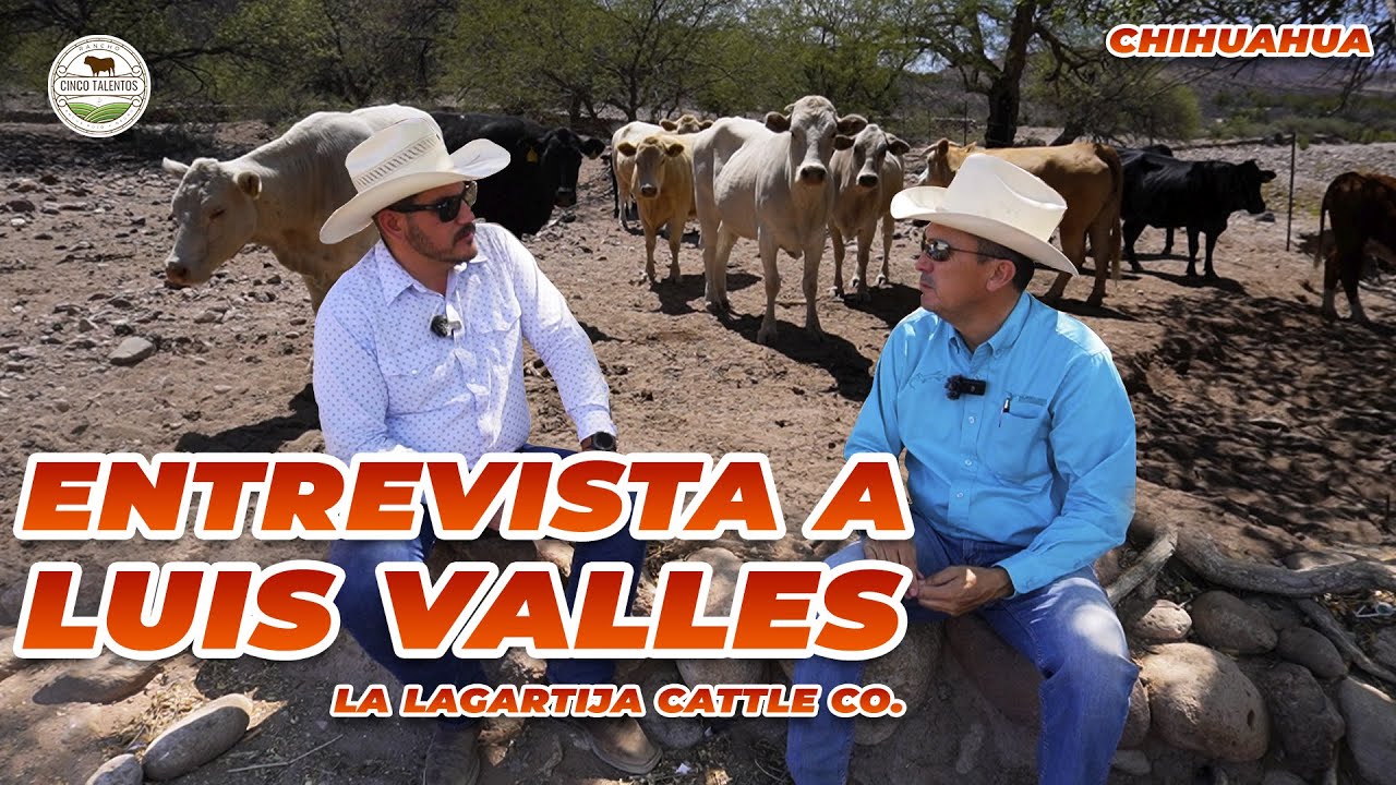 GANADERÍA EXITOSA: MITOS Y REALIDADES | Rancho Cinco Talentos | La Largatija Catlle Co. | Chihuahua