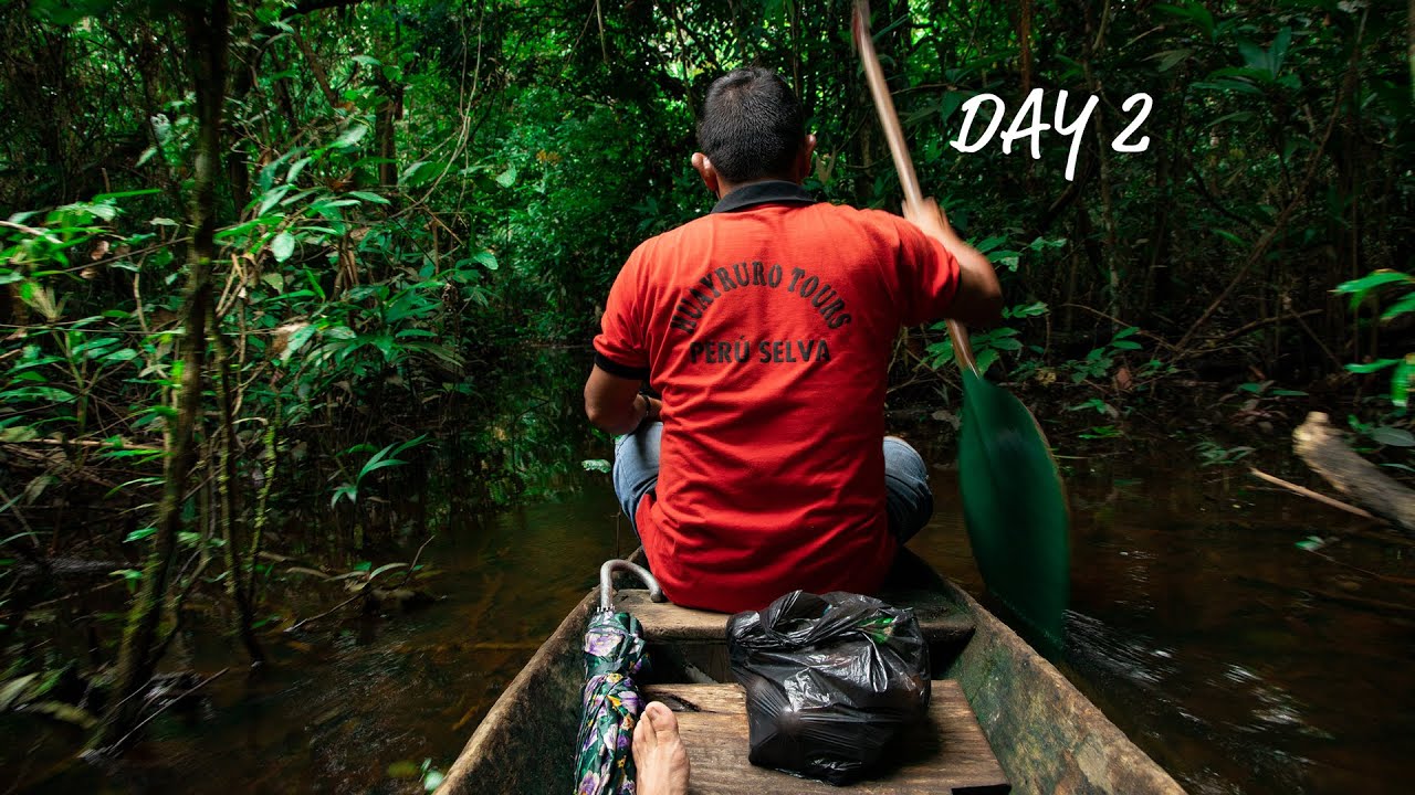 Pacaya Samiria - Canoe trip in the jungle of PERU (day 2)