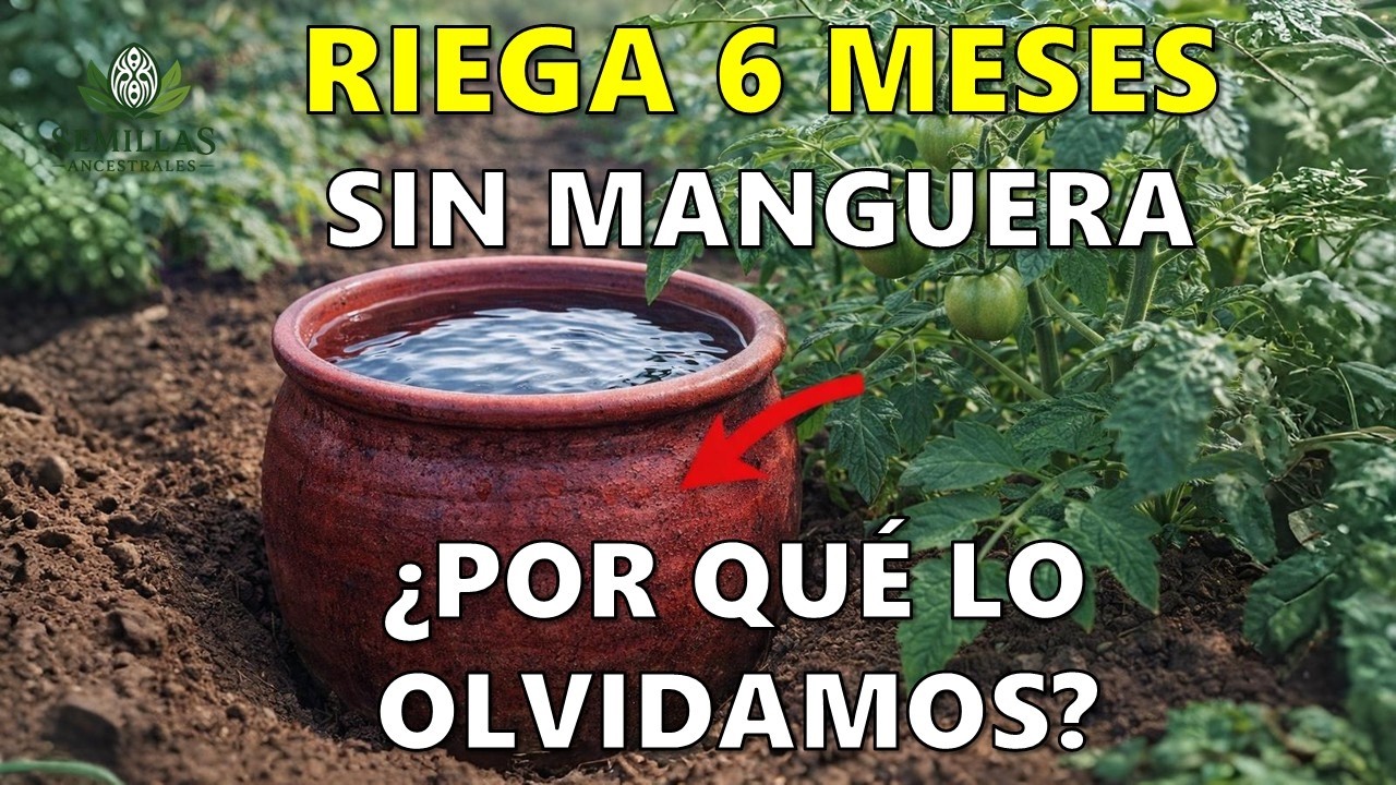 Una Olla Enterrada Riega Tu Huerto Durante 6 Meses — ¿Por Qué Dejamos de Usarla?