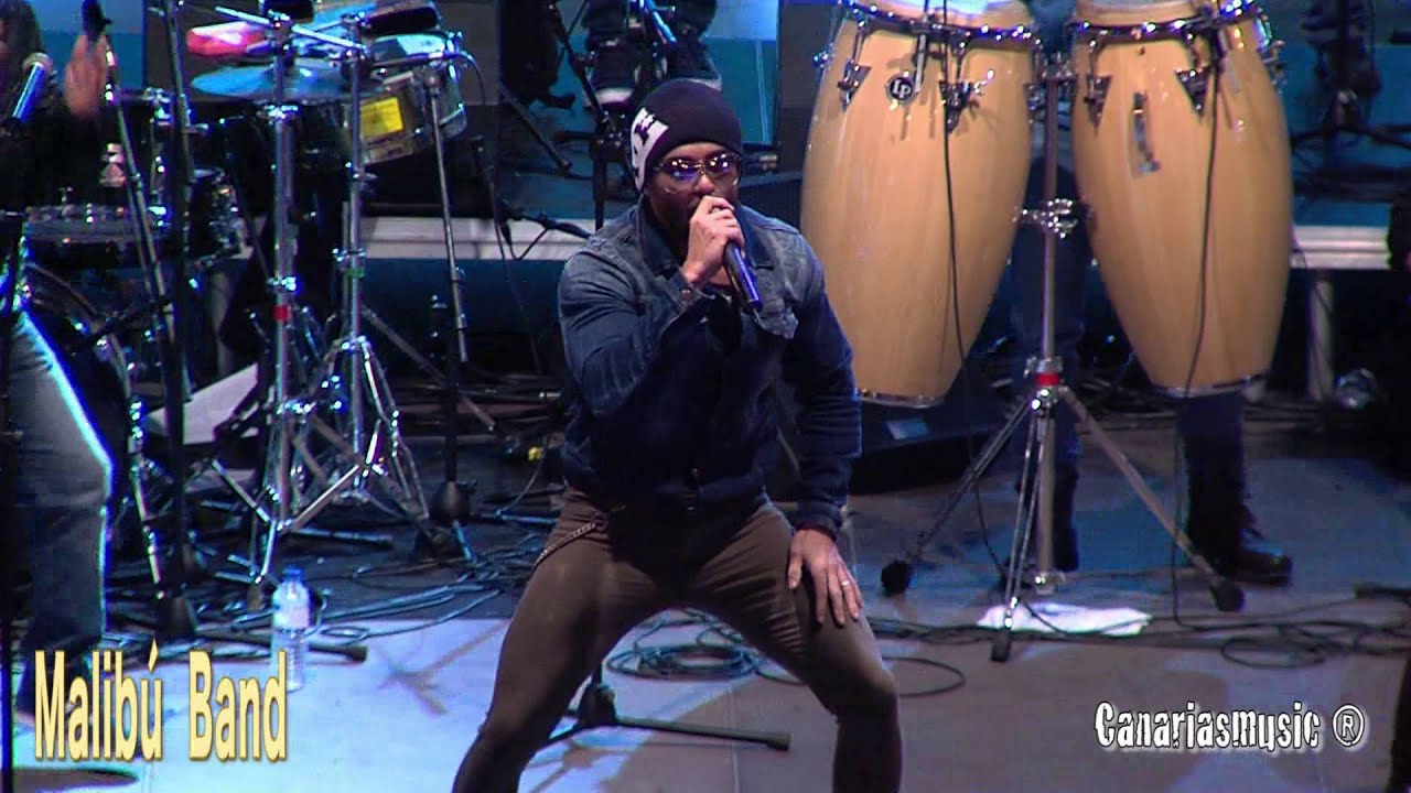 Malibú Band / te he echado de menos ( versión merengue)