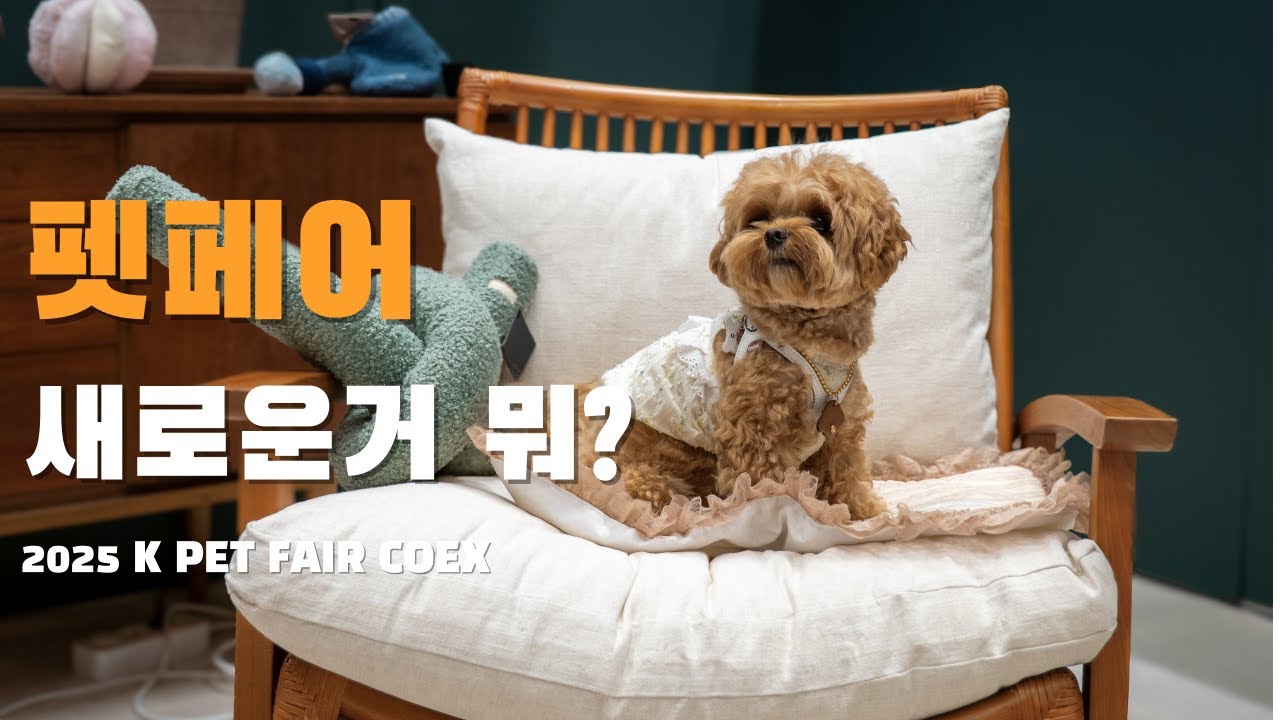 케이펫페어 2025 새로운건 뭐? 11분 케이펫페어 코엑스 정복