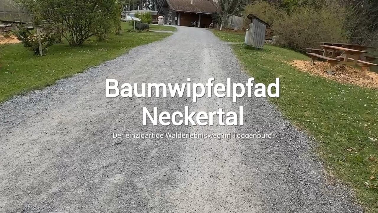 🌲 Abenteuer &uuml;ber den Baumkronen! &ndash; Baumwipfelpfad Neckertal