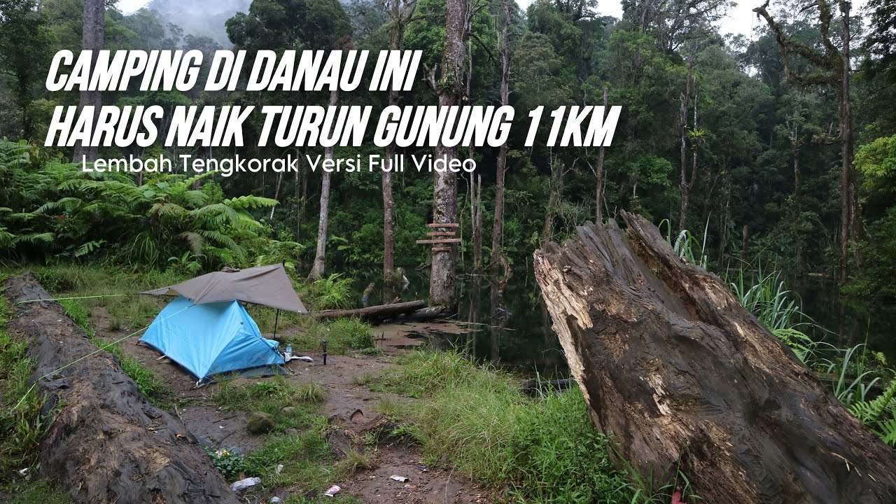 Nekat Hiking Solo Camping Hutan Belantara Lembah Tengkorak