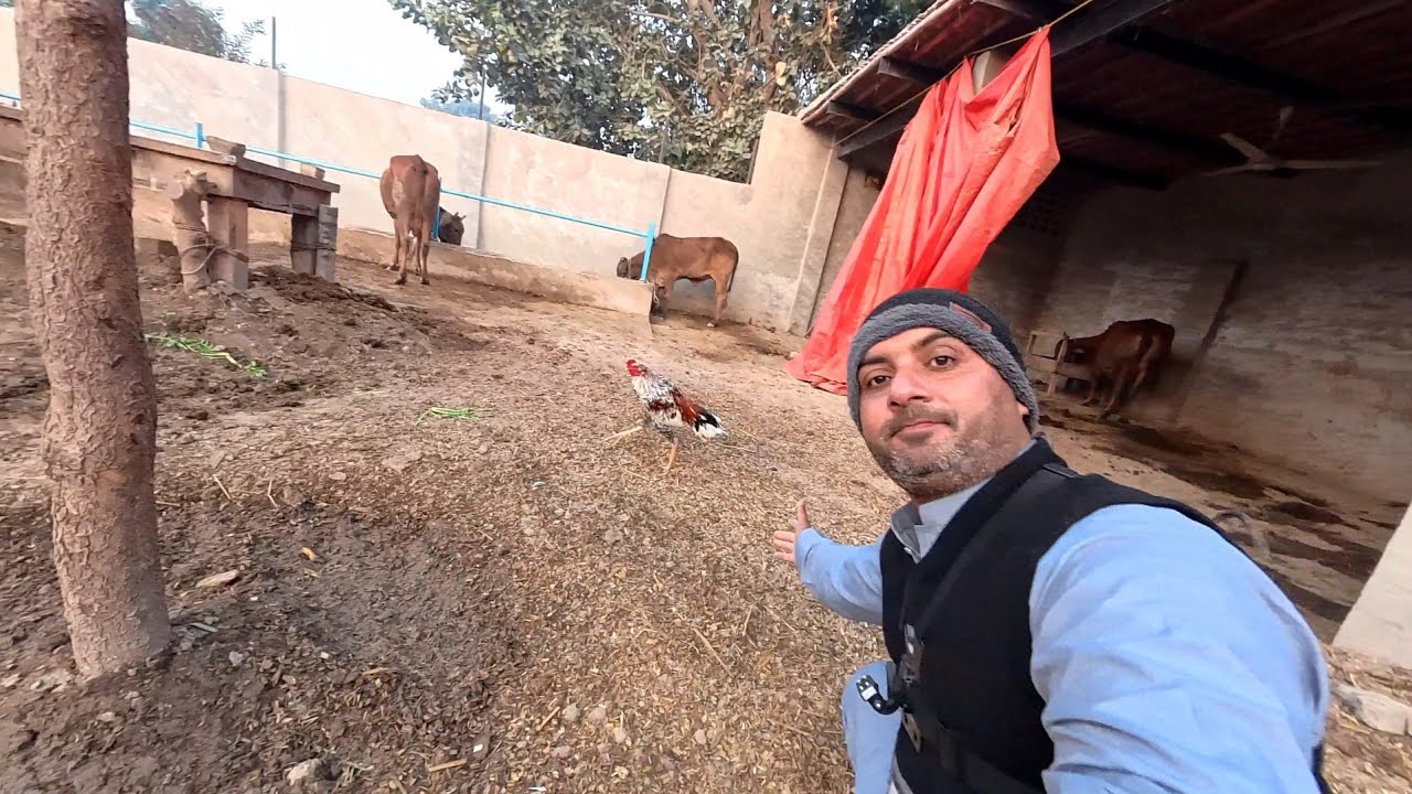 Asmr my morning routine with rocky handsome 