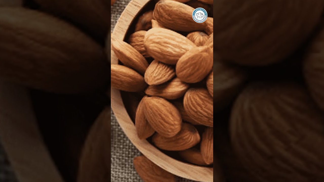 Avoid These Food For Your Dogs 🚫 