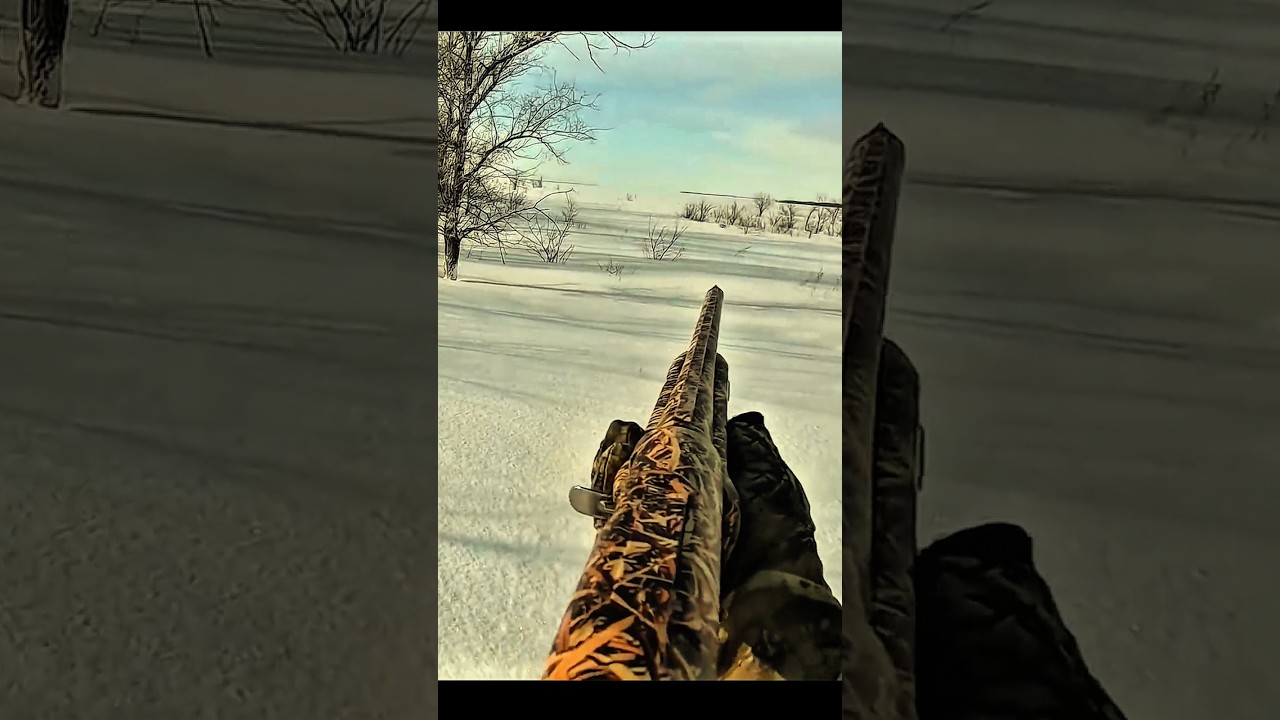 Backcountry Rabbit Hunting Adventure in the Wild #hunting #chass #wildhunting #hunter