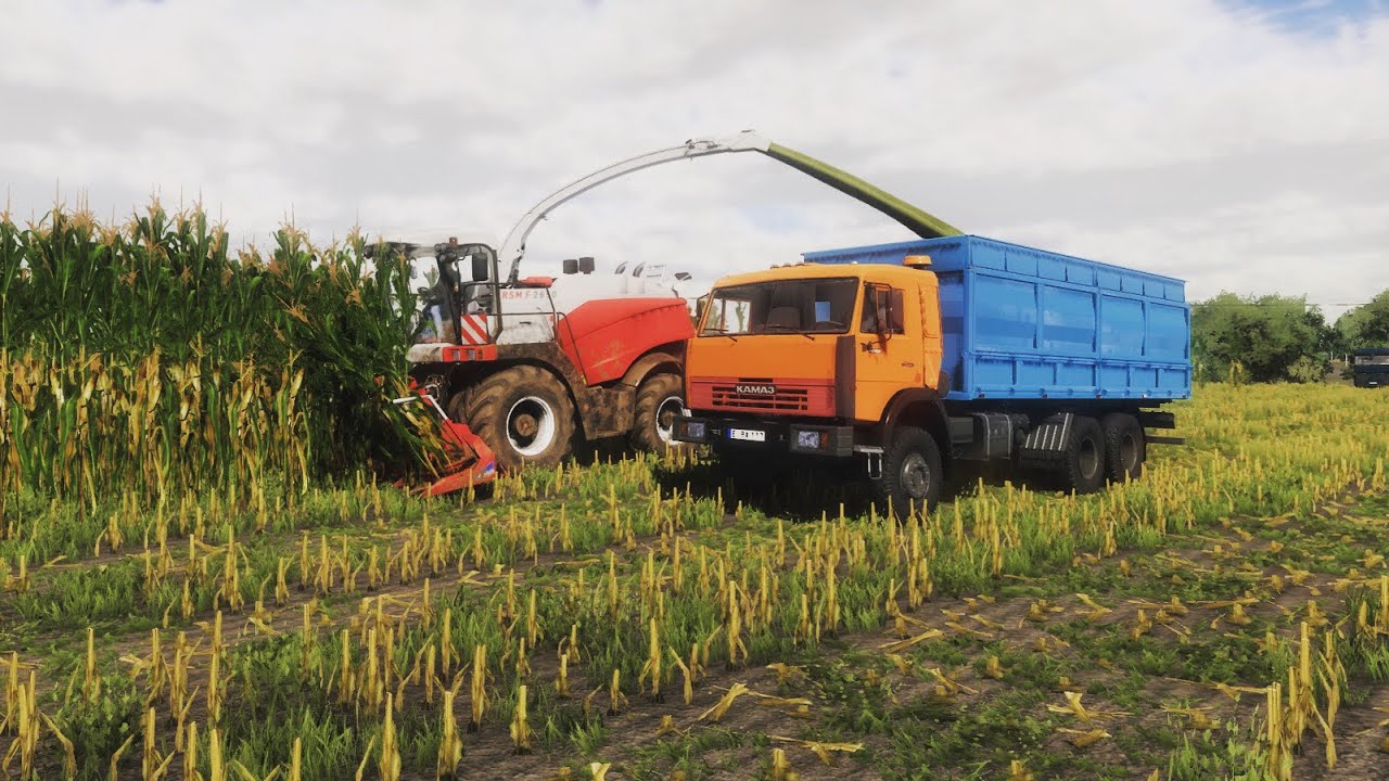 Farming simulator 22 / Новая ферма Pyśkowice/ Убираем кукурузу на силос/ №8