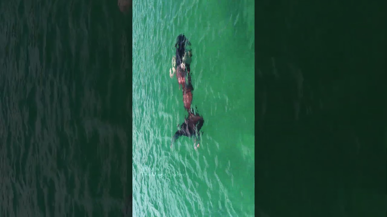RED MERMAID IN LAKE MICHIGAN #shorts