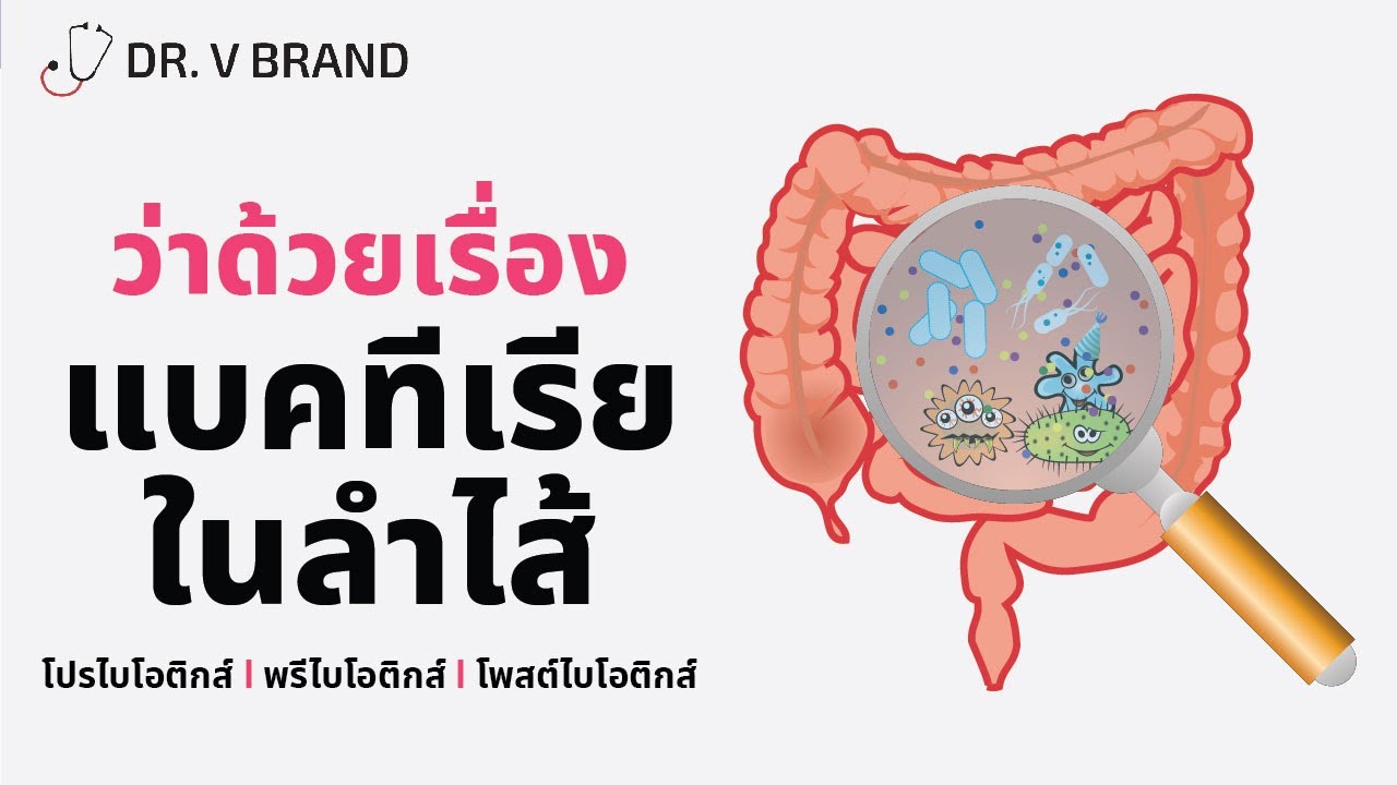 แบคทีเรียร้ายดี! ในลำไส้