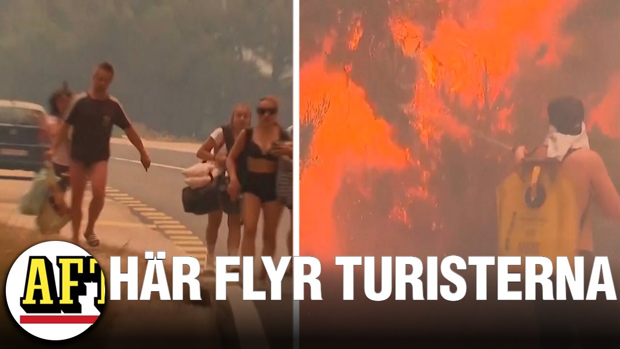 Kroatien drabbade av skogsbr&auml;nder &ndash; turister evakueras
