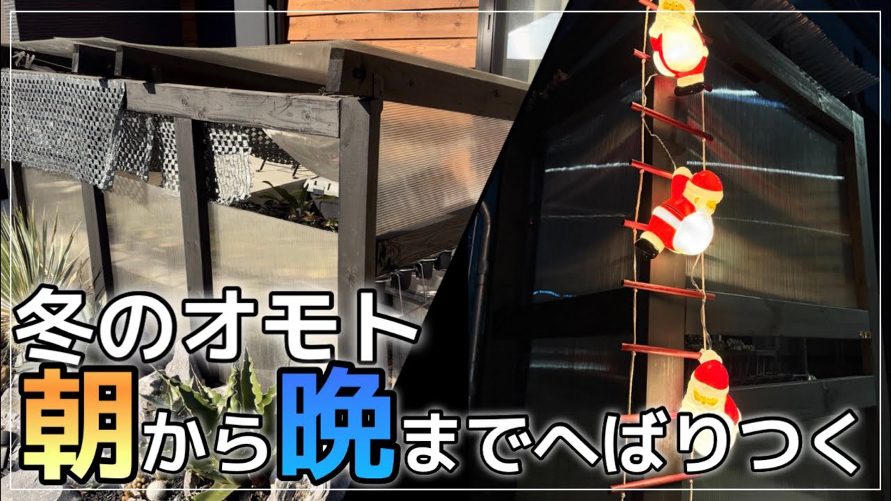 【万年青の冬】必須科目。まずは己を知るべし!!