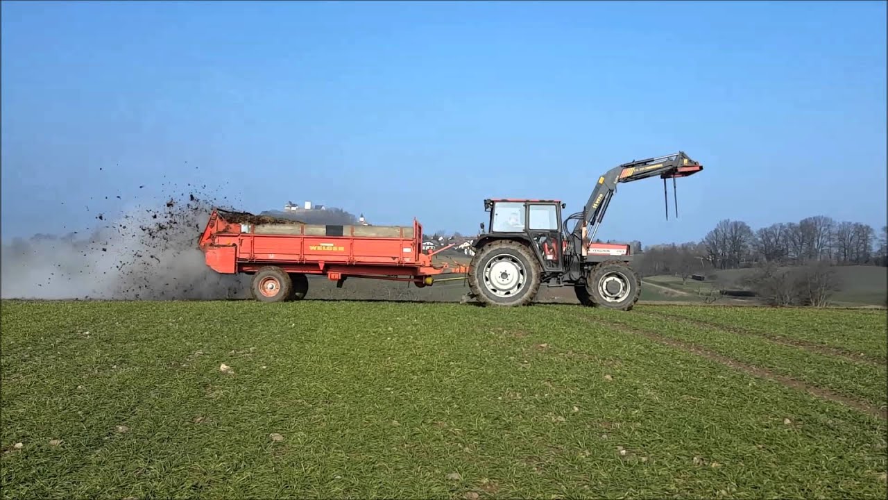 Mist Streuen 2016 mit Massey Ferguson 293 und Welger