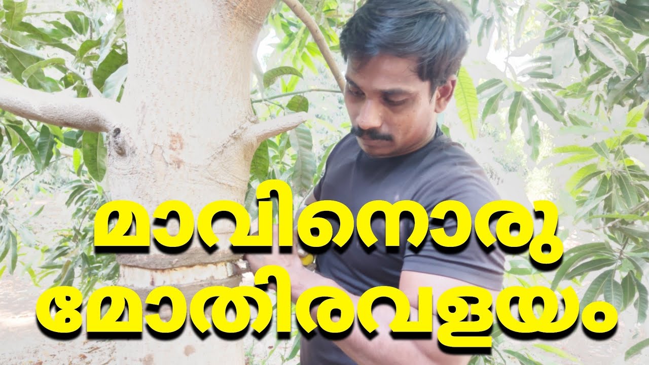 മോതിരവളയത്തിൻ്റെ ശരിയായ രീതി (mothira valayam cheyunnareethi)