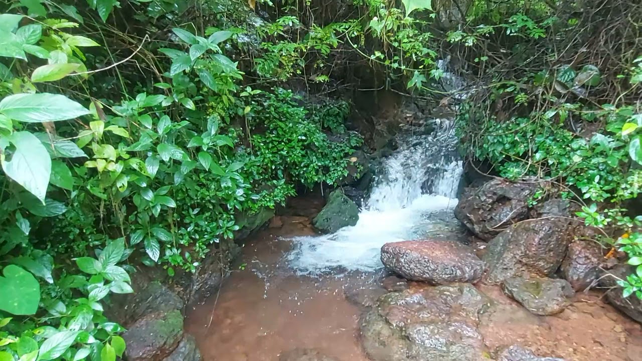 Narve Spring - Goa