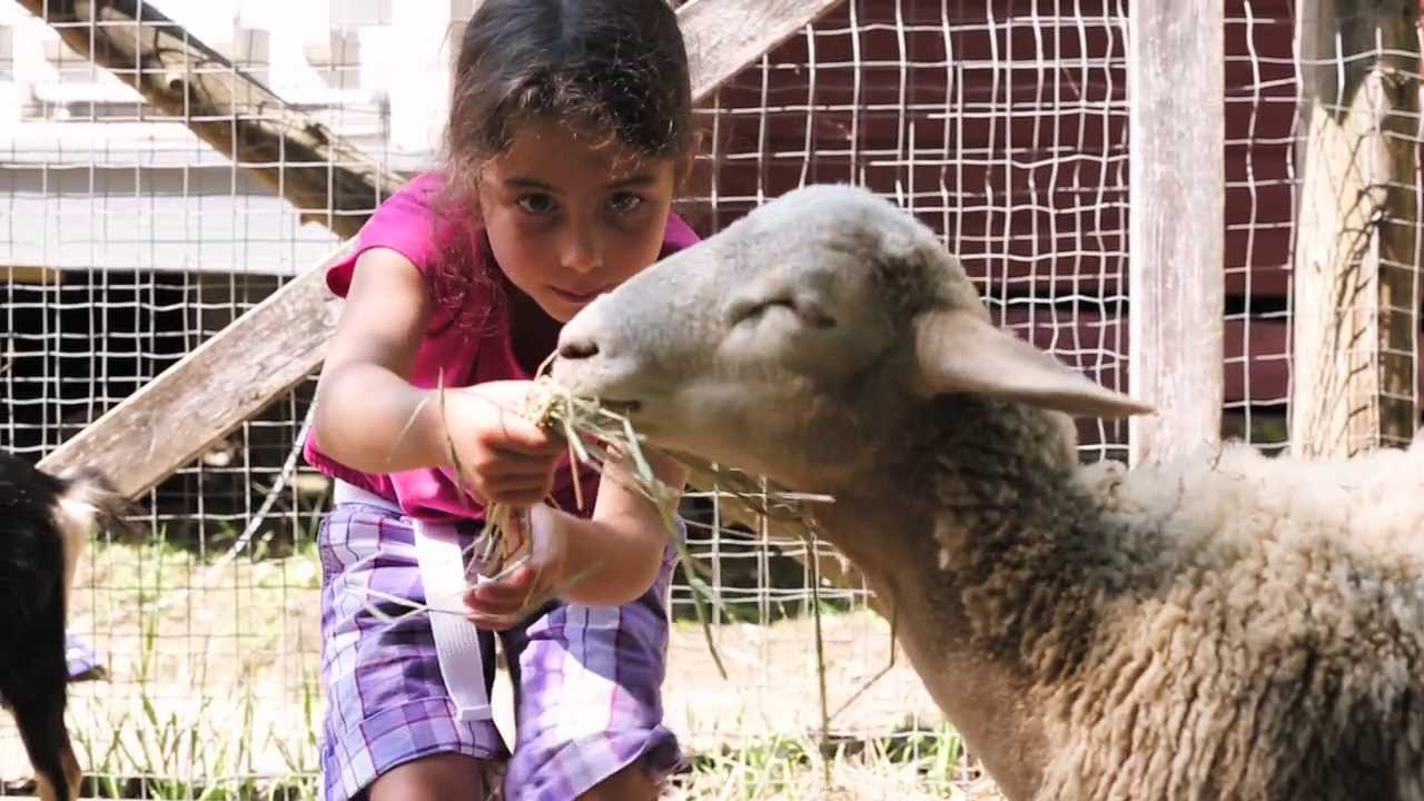 Vivez l'expérience classe nature!