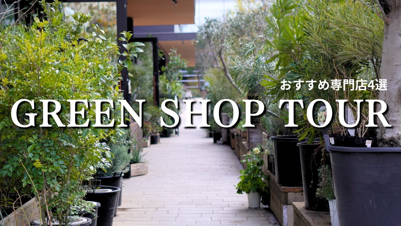 観葉植物専門店のおすすめ４店舗｜Rust /HITOHACHI /REN/garage
