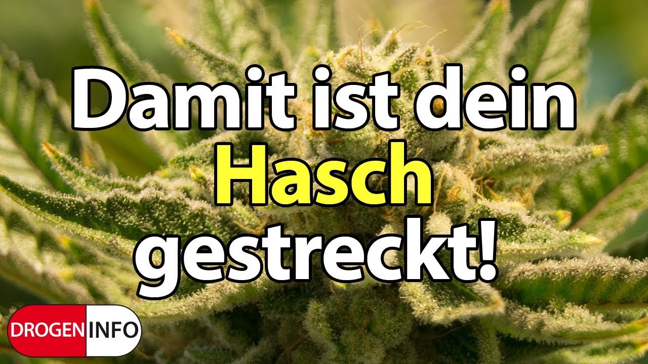 Damit ist dein Hasch gestreckt!