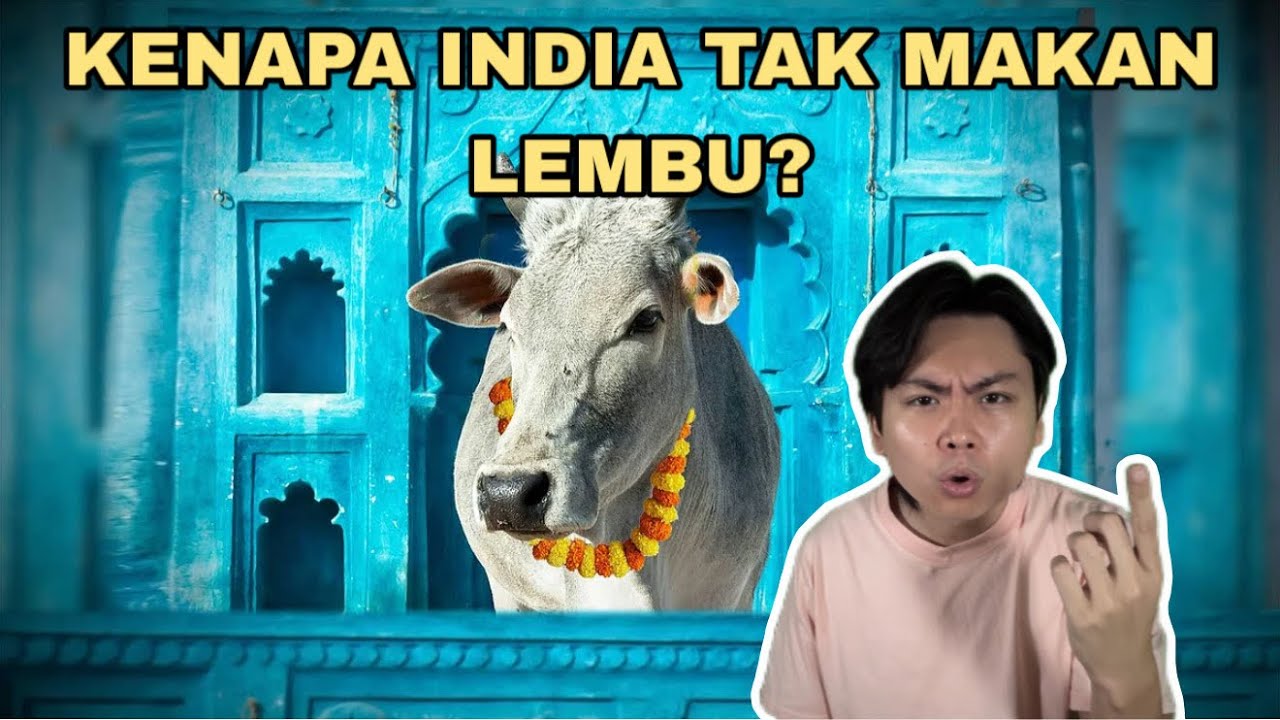 Kenapa India Tak Makan Lembu?
