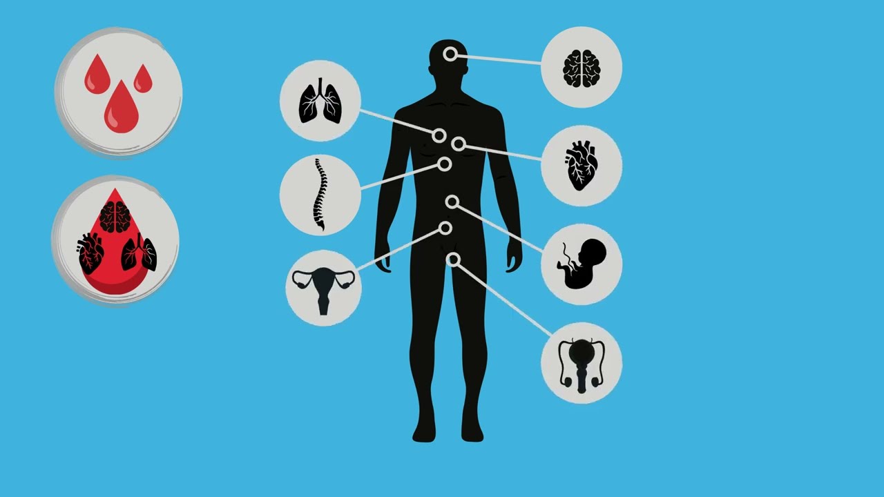 Bloodborne Pathogens Basics