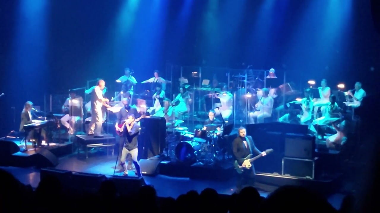 Suede & Paraorchestra - Indian Strings 19/09/25 Queen Elizabeth Hall Southbank live 2025