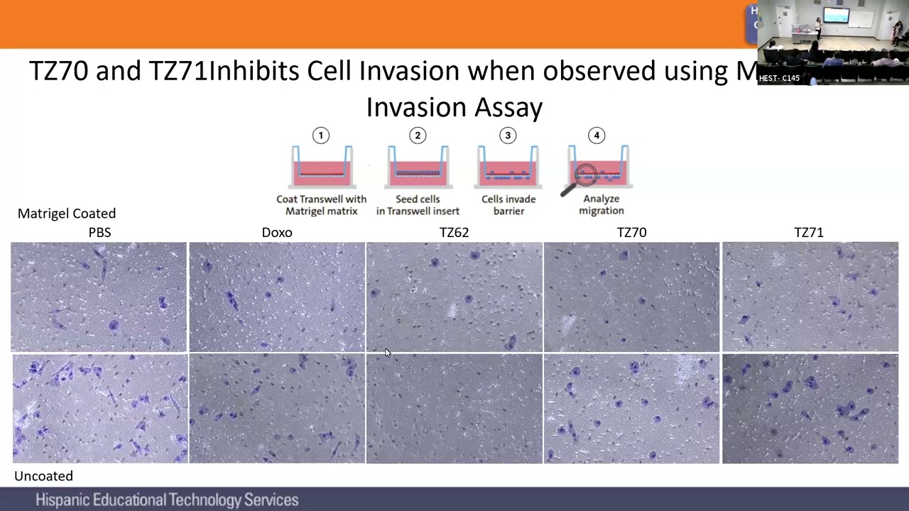 Student Track: Screening Compounds for Their Anti-Cell Proliferation Properties