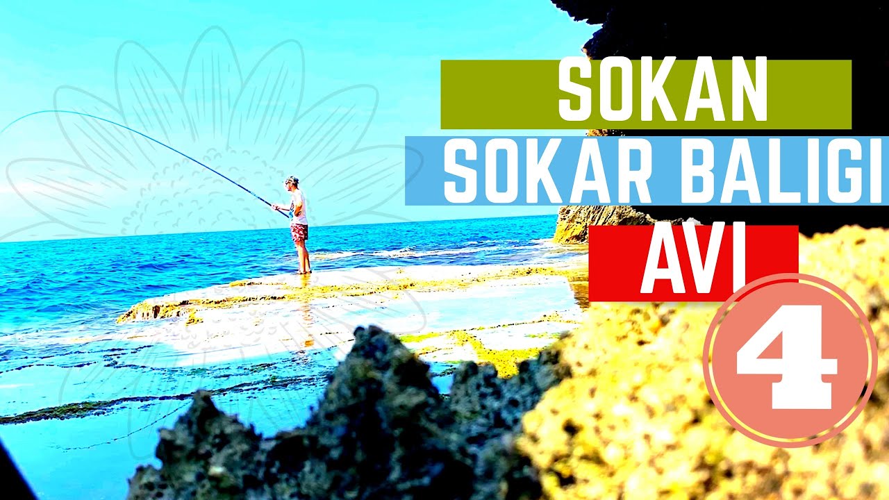 Sokan (Sokar) Balığı Avı #4 KKTC...20.06.2019... Fishing in Cyprus... SIGANUS RIVULATUS κουρκούνες