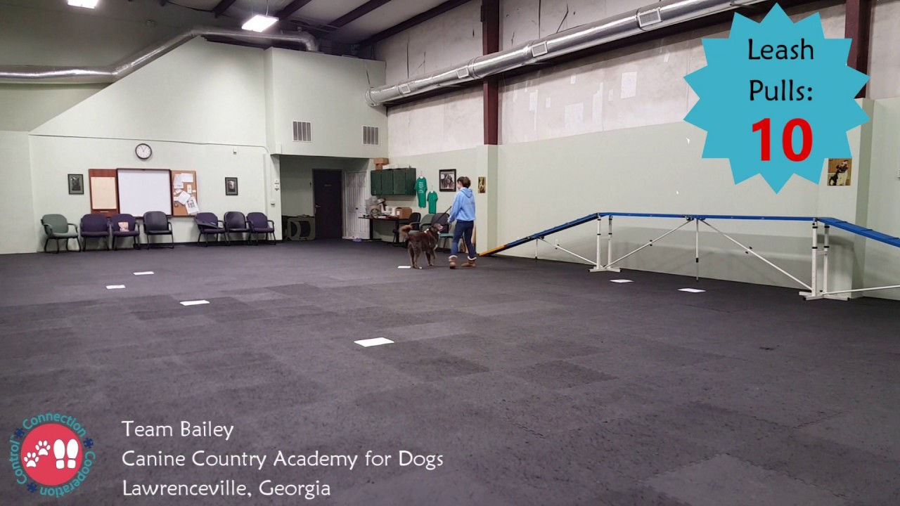 CCC Level 1:  Team Bailey
