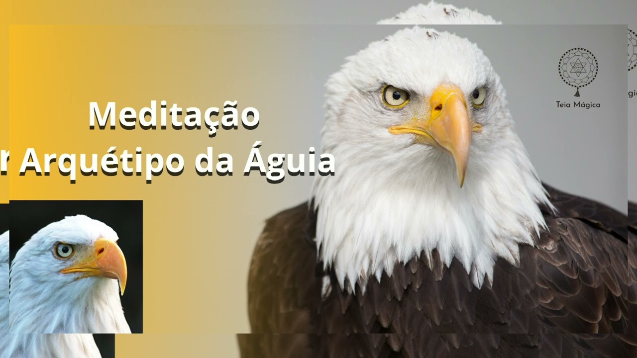 Meditação Arquétipo da Águia