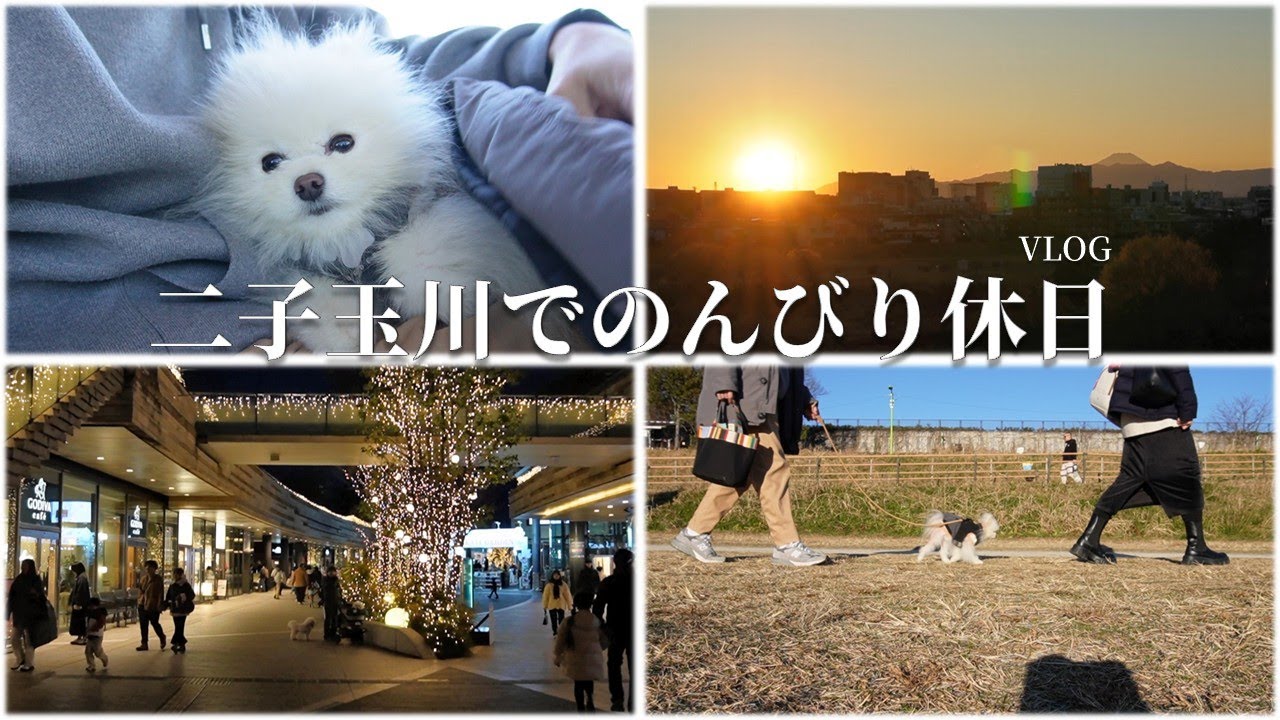 Vlog | 東京二子玉川で愛犬と行く癒しの公園散歩と買い物