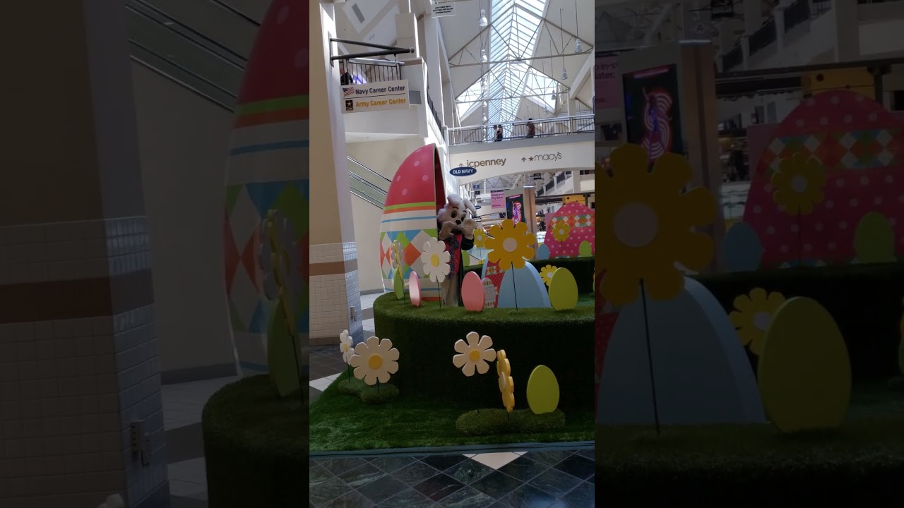 Found the Easter Bunny! 