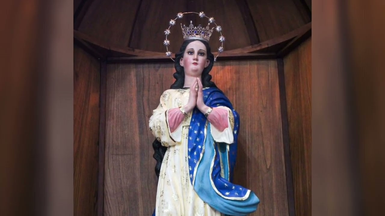 Hermosa doncella - Alejandro Vega Matus 