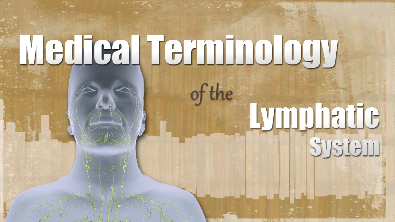 Medical Terminology of the Lymphatic System