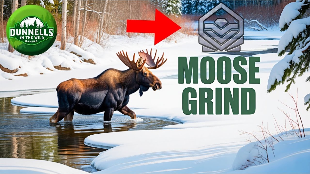 Moose Great One Grind LIVE | 504+ Kills | theHunter COTW (Portrait)