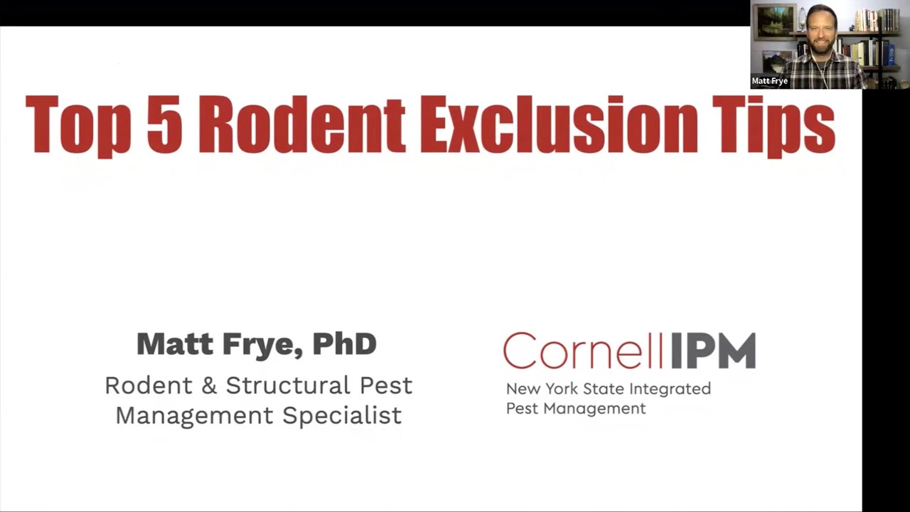 Top 5 rodent exclusion tips | Feeding Friendly Insects: Get ready to plant 9/5/2025