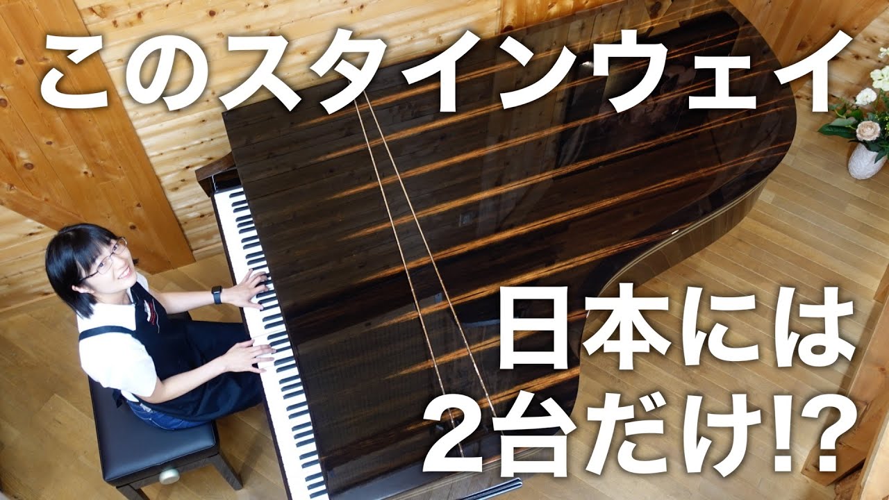 【こんなピアノ見たことない】スタインウェイの特別モデルがすごい