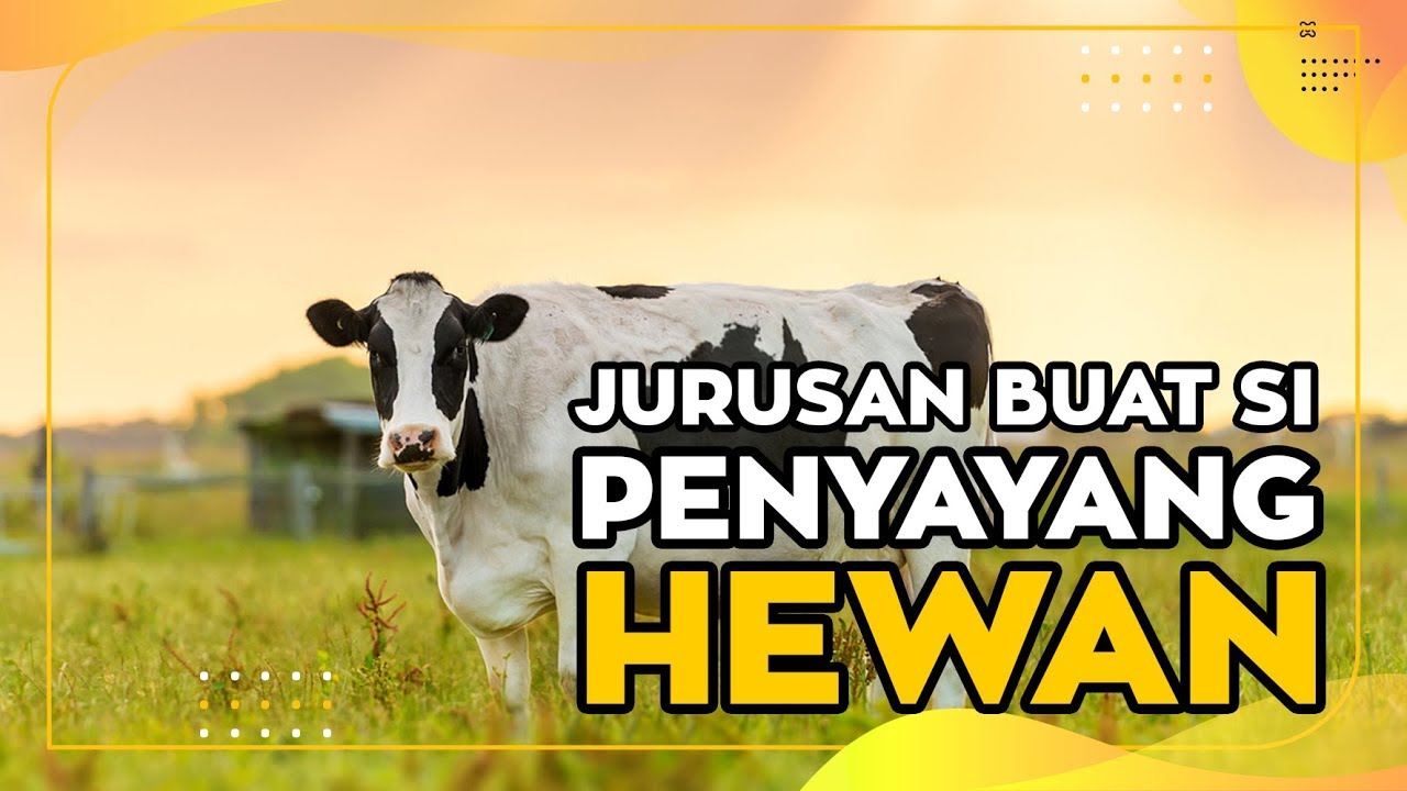Fakultas Peternakan Jurusan buat si PENYAYANG HEWAN?