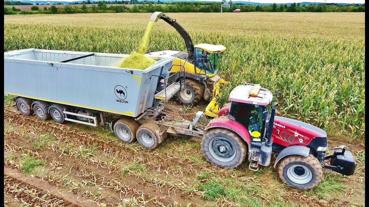 Corn silage 2017 CASE PUMA 230 CVX + Siga Duo + Wielton Agrofilip