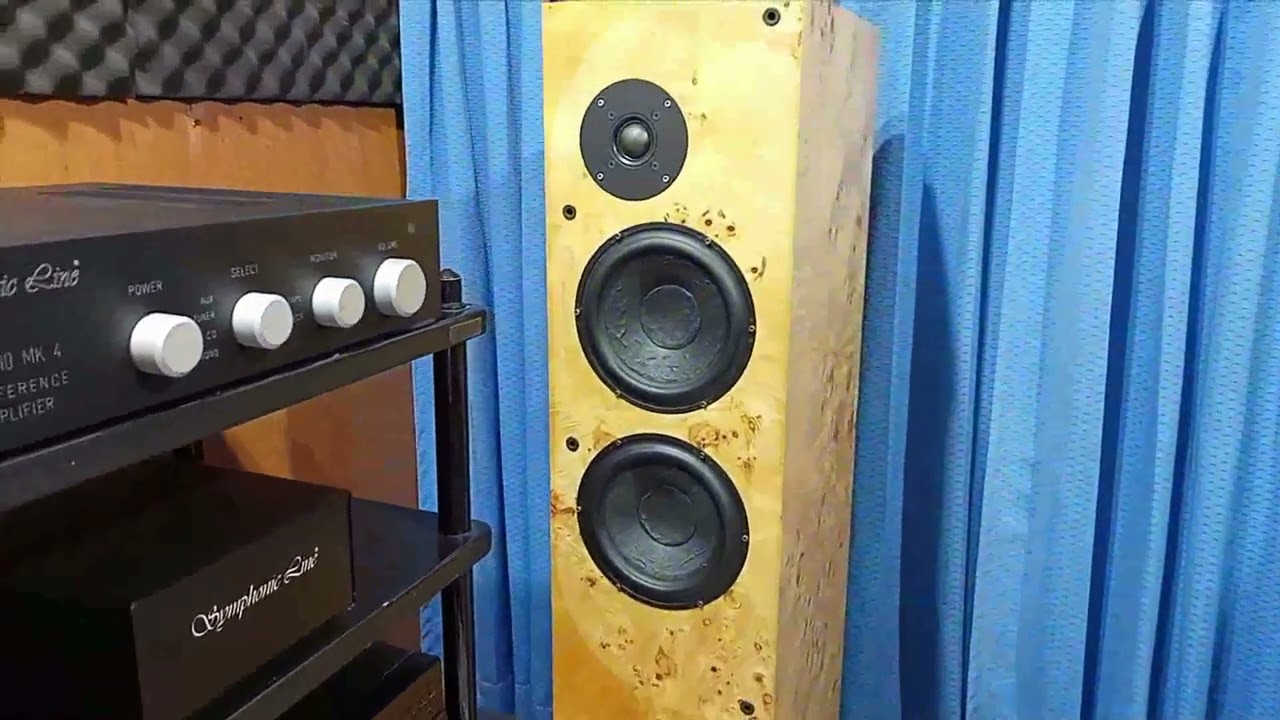 lungyim~Mark Levinson No.380s preamplifier - ProAc Response 3.8 Clone ( 4 )