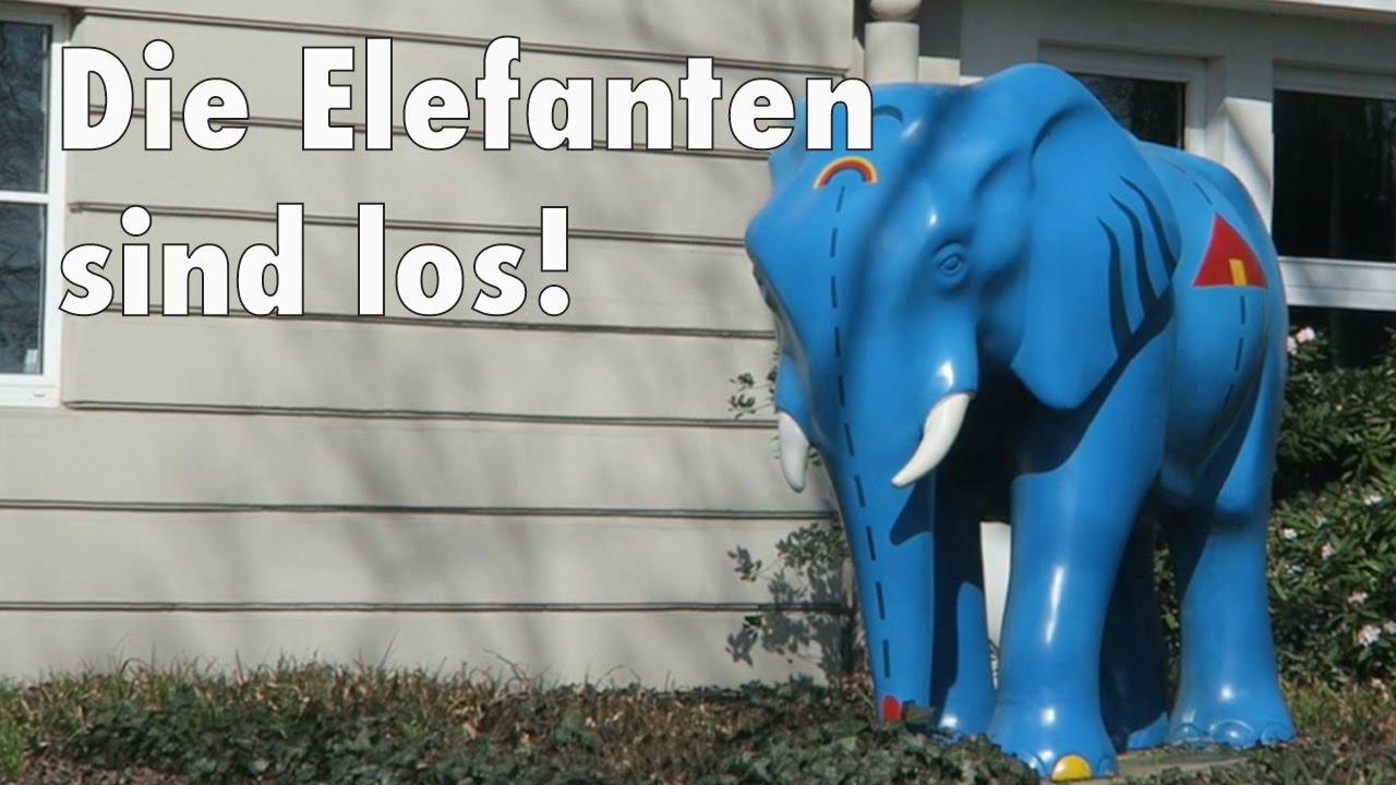 Elefantenwahnsinn in HAMM | Vlog #19