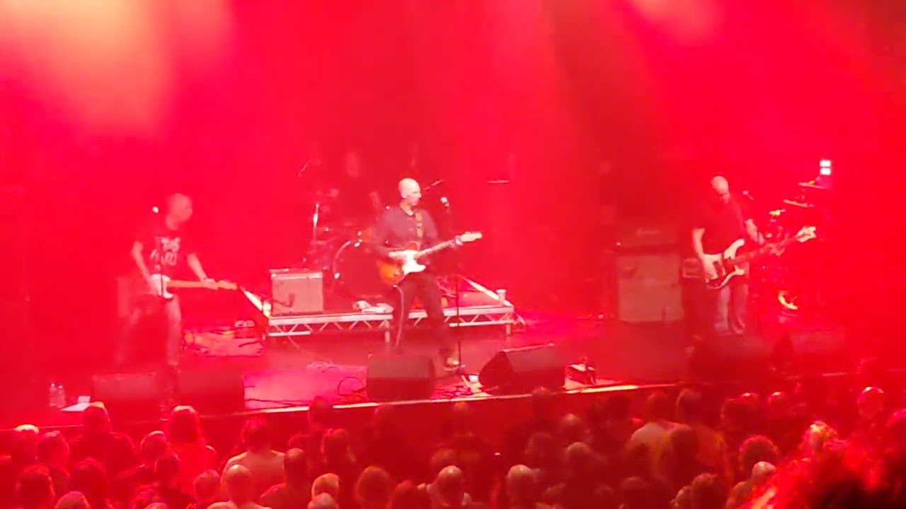 Half Man Half Biscuit Manchester 28.1.22 Reflections In A Flat
