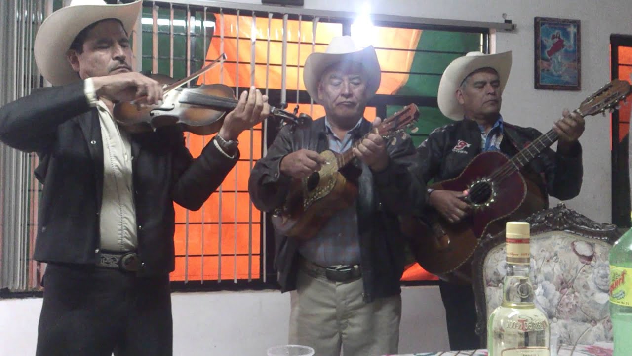 Recuerdo a huaya- tr�o sorpresa huasteca
