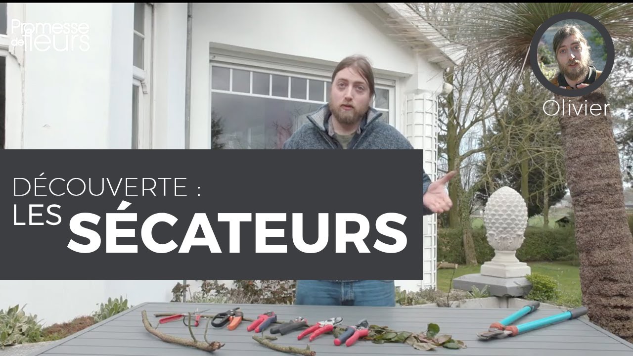 Découverte : les sécateurs