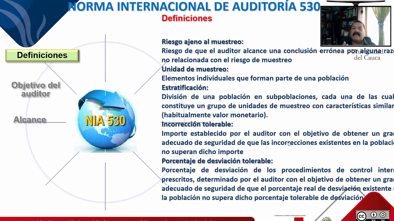 Norma Internacional de Auditor&iacute;a NIA 530 Muestreo de Auditor&iacute;a