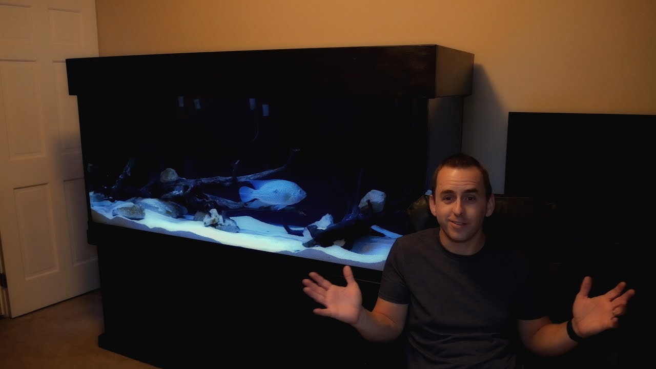 300 Gallon Custom Aquarium - Project Intro