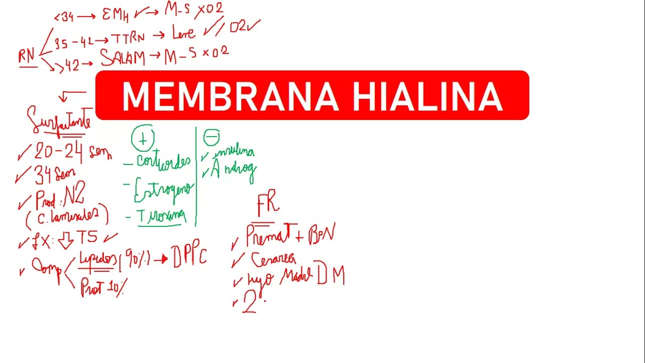 ENFERMEDAD MEMBRANA HIALINA // LAS FIJAS